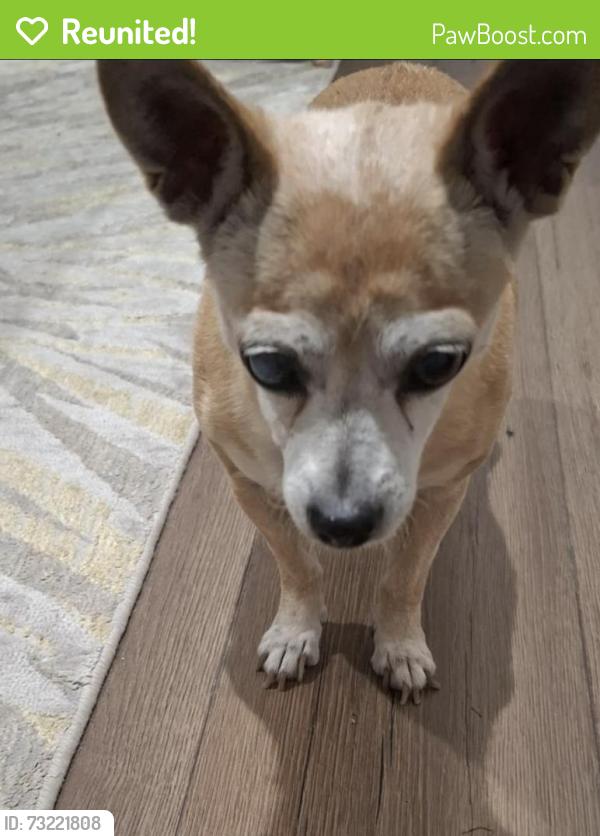 Reunited Male Dog last seen Near kirk Rd, Lake Worth Beach, FL 33461