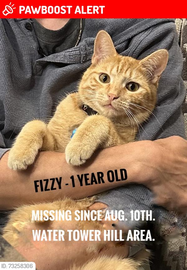 Lost Male Cat last seen Water tower hill 4th Ave. East, Greater London, England 