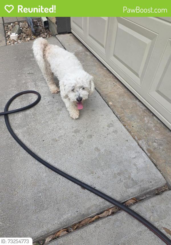 Reunited Unknown Dog last seen Sugar Land texas, Sugar Land, TX 77478