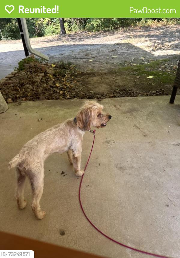 Reunited Male Dog last seen Hey 243 canton Texas near police station, Canton, TX 75103