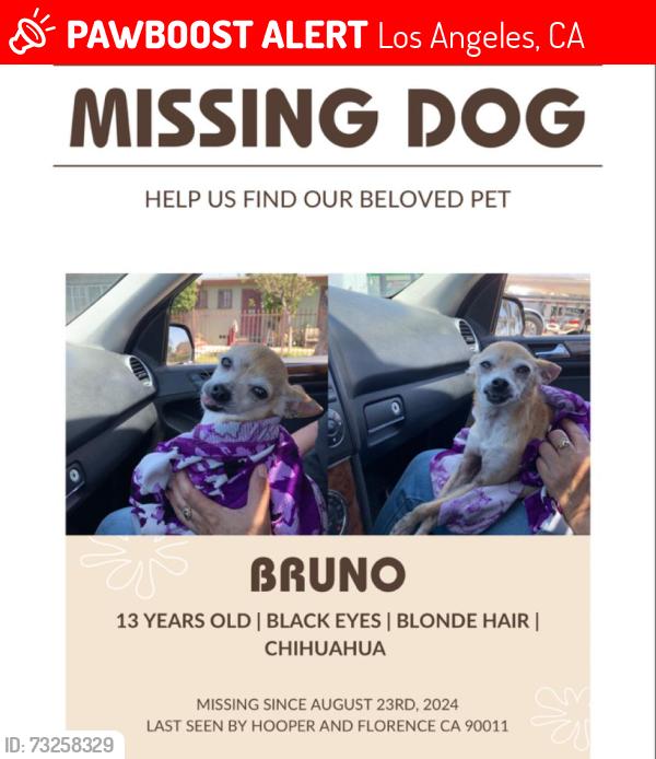 Lost Male Dog last seen E 69th St Los Angeles, Los Angeles, CA 90001