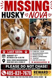 Reunited Female Dog last seen Blue Sage Road & NW 122nd, Oklahoma City, OK 73120