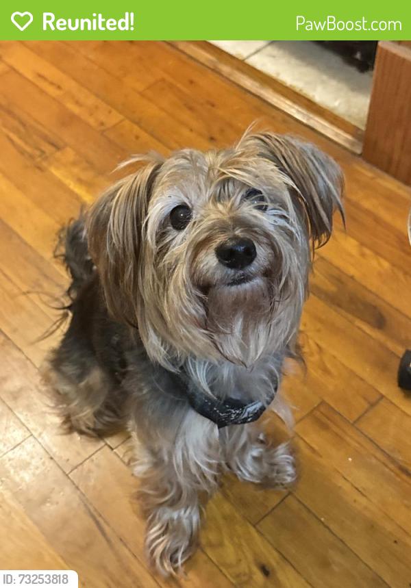Reunited Male Dog last seen In the neighborhood Nob Hill, Elmsford, NY 10523