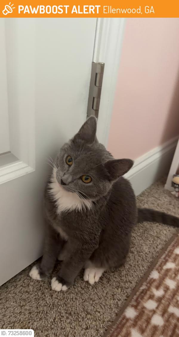 Found/Stray Male Cat last seen Stagecoach rd, Ellenwood, GA 30294