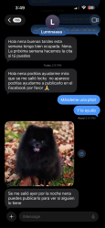 Lost Male Dog last seen Mayfield rd, Fairview, NC 28730