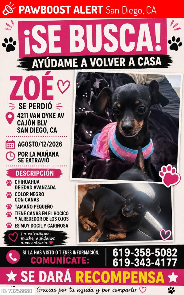 Lost Female Dog last seen Van dyke dan diego, San Diego, CA 92116