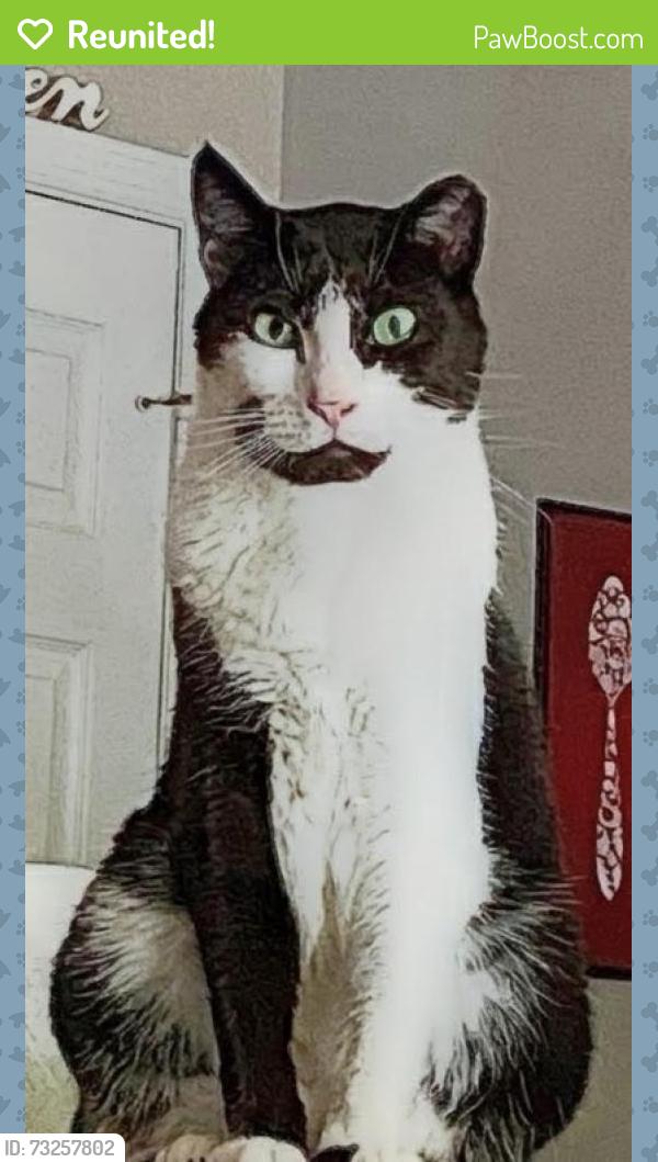 Reunited Male Cat last seen Corners apmts, Durham, NC 27703
