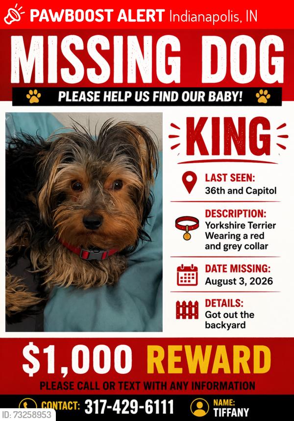 Lost Male Dog last seen Capitol alley, Indianapolis, IN 46208