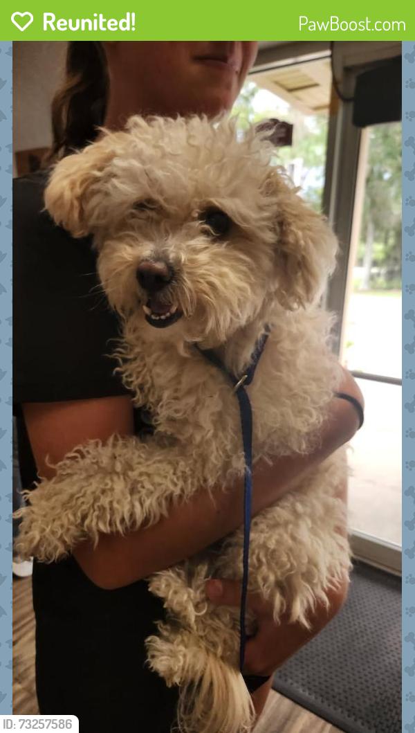 Reunited Female Dog last seen Michigan Ave & Creekview Ct, St. Cloud, FL 34772