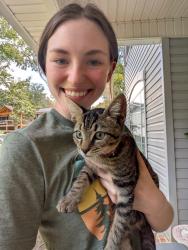 Reunited Female Cat last seen Dupont Elementary School, McDonald's, Chattanooga, TN 37415