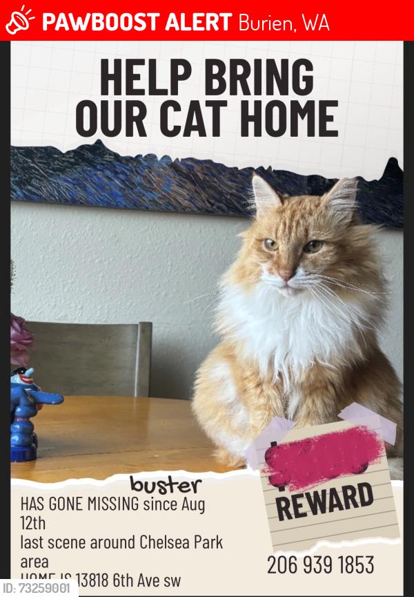 Lost Male Cat last seen Near 6th ave sw, Burien, WA 98166