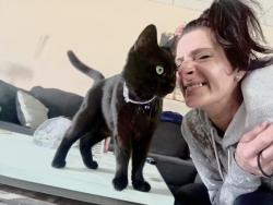 Reunited Female Cat last seen Theodore, Scranton, PA 18508