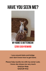 Lost Female Dog last seen South Valley Gateway Park, South Valley, NM 87105