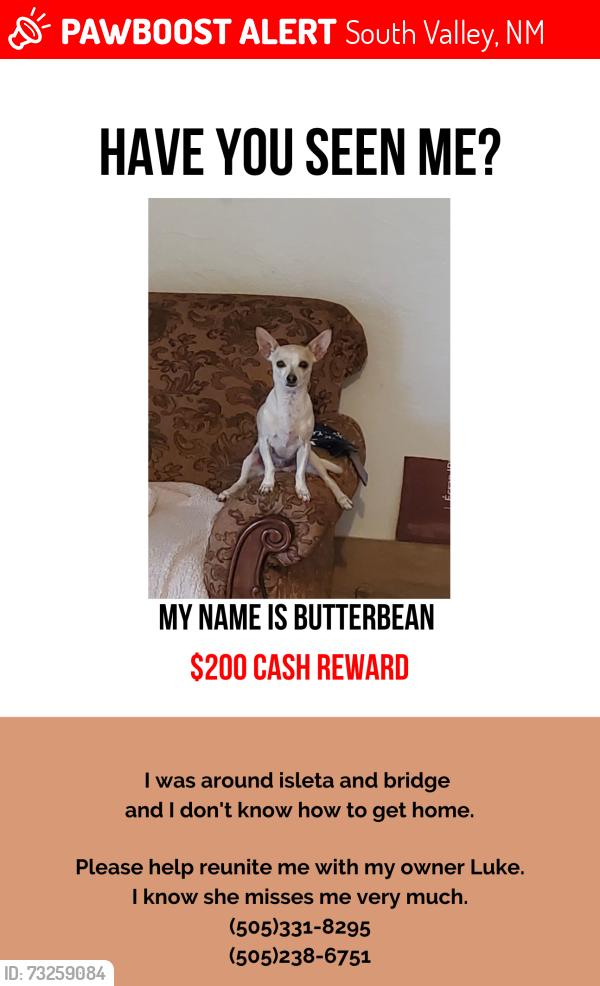 Lost Female Dog last seen South Valley Gateway Park, South Valley, NM 87105