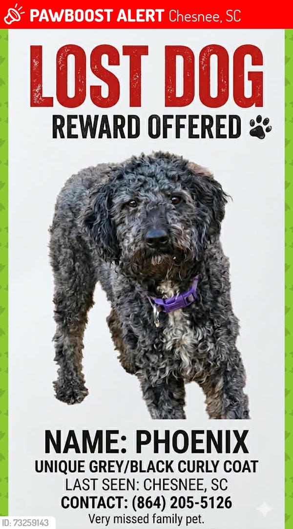 Lost Male Dog last seen Near walker run dr, Chesnee, SC 29323