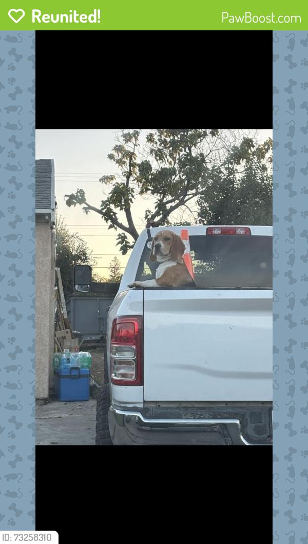 Reunited Male Dog last seen Elder creek and 75th st, Sacramento, CA 95828