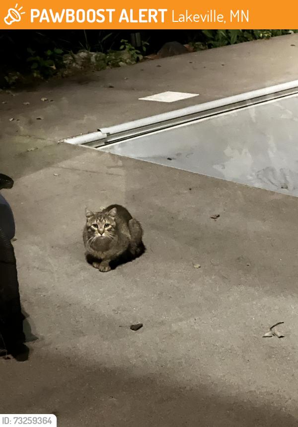 Found/Stray Unknown Cat last seen Near Jay Court, Lakeville, MN 55044