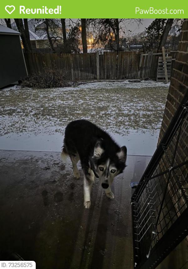 Reunited Female Dog last seen Holland Waterford Glen, Mansfield, TX 76063