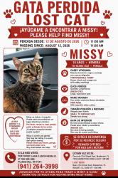 Lost Female Cat last seen 21st street east, Bradenton, FL 34208
