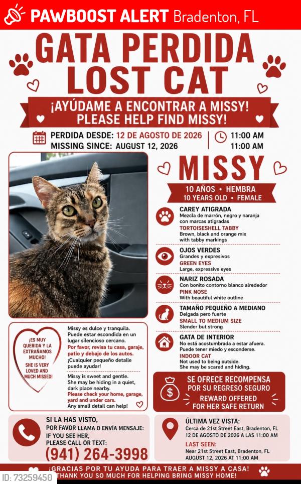 Lost Female Cat last seen 21st street east, Bradenton, FL 34208