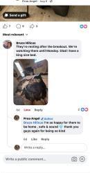 Reunited Female Dog last seen Magnolia Creste apmts, Dallas, GA 30132