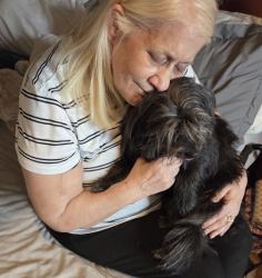 Reunited Female Dog last seen Caminish park and 90th, Federal Heights, CO 80260