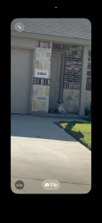Reunited Female Dog last seen hollow bend, Fort Worth, TX 76123