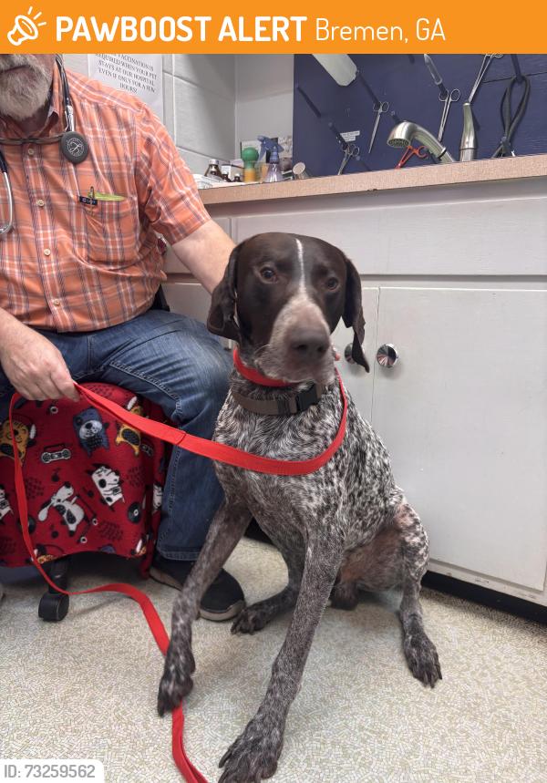 Found/Stray Male Dog last seen Alabama Ave S, Bremen, GA 30110