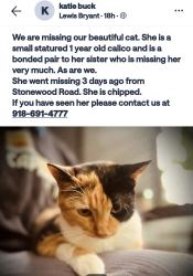 Lost Female Cat last seen 36th NE btw E Robinson & E Rock Creek, Norman, OK 73026