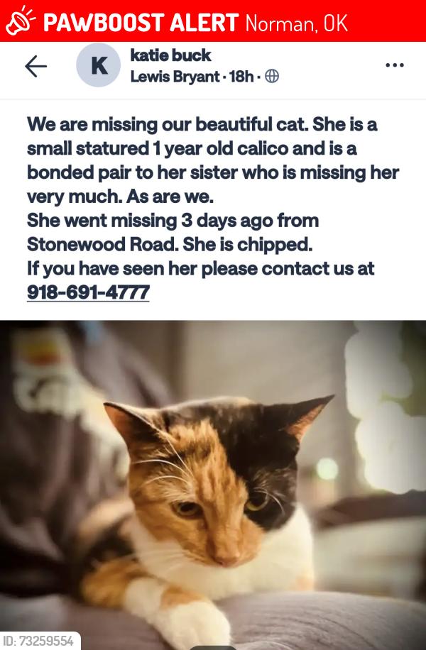Lost Female Cat last seen 36th NE btw E Robinson & E Rock Creek, Norman, OK 73026