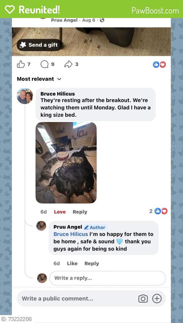 Reunited Female Dog last seen Magnolia Creste apmts, Dallas, GA 30132
