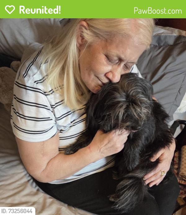 Reunited Female Dog last seen Caminish park and 90th, Federal Heights, CO 80260