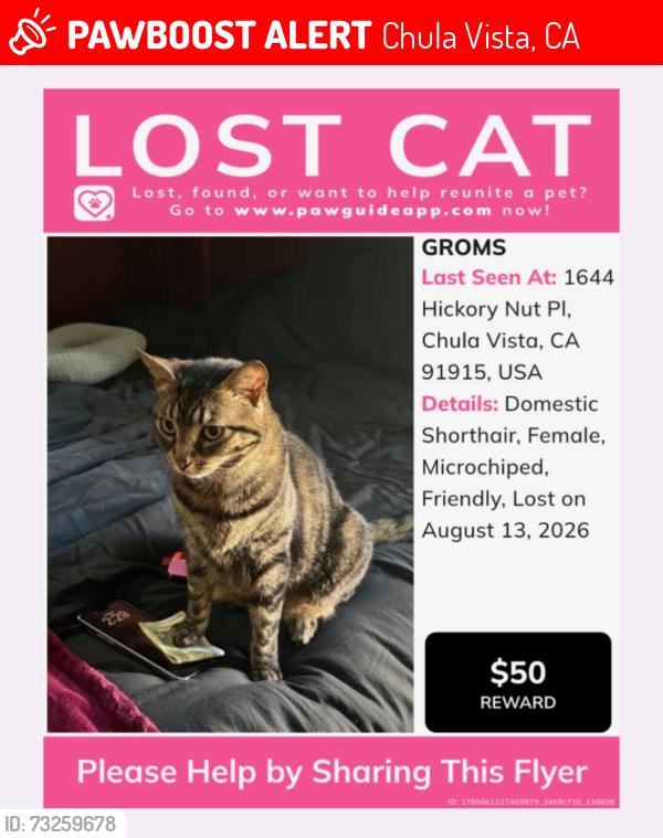 Lost Female Cat last seen Olympic, Chula Vista, CA 91915
