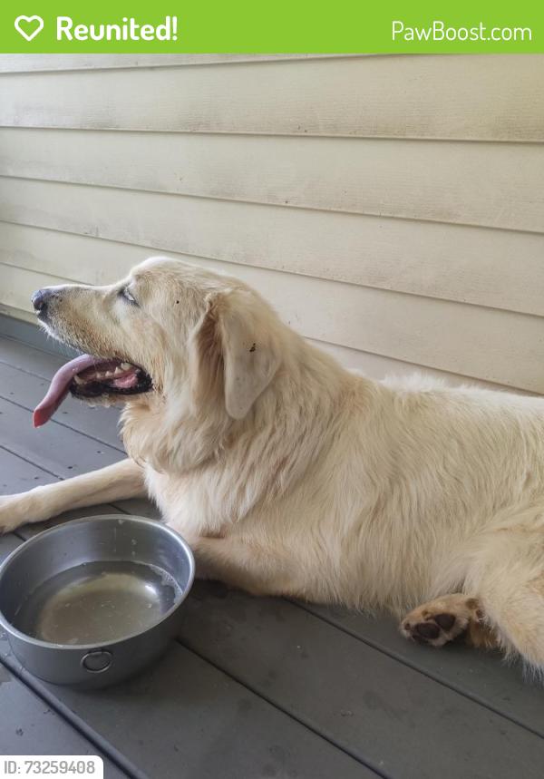 Reunited Male Dog last seen SE, 2130 Whitney Rd, Monroe, GA 30655, Monroe, GA 30655