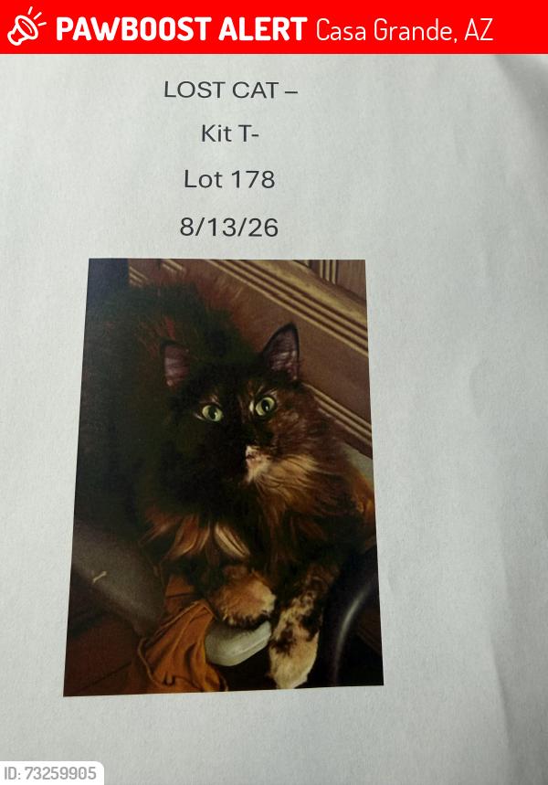 Lost Female Cat last seen Sunwest Resort Village, Casa Grande, AZ 85122