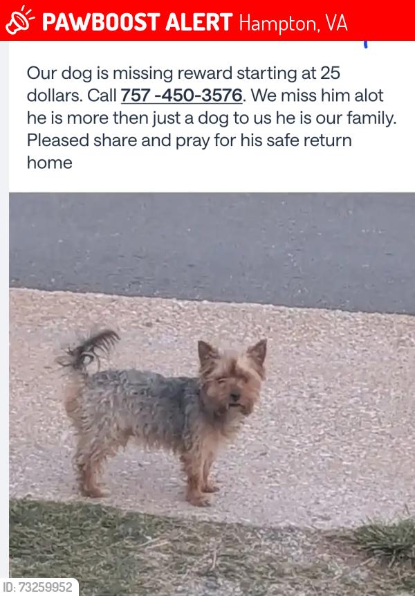 Lost Male Dog last seen Powhatan parkway, Hampton, VA 23661