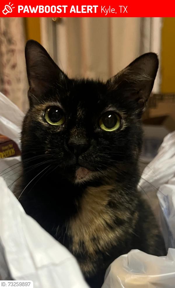 Lost Female Cat last seen The Trails subdivision, Kyle, TX 78640
