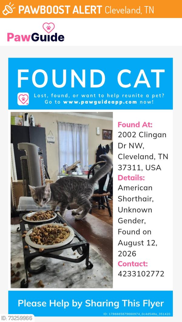 Found/Stray Unknown Cat last seen Clingan drive and 22nd, Cleveland, TN 37311