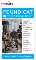 Found/Stray Unknown Cat last seen Clingan drive and 22nd, Cleveland, TN 37311