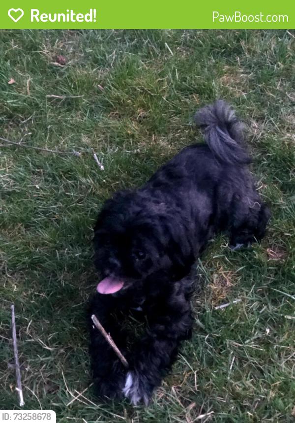Reunited Female Dog last seen Michener, Philadelphia, PA 19150