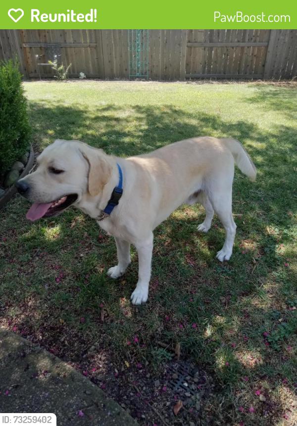 Reunited Male Dog last seen Penwood & Bentwood - treelake, Roseville, CA 95746