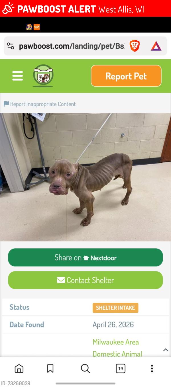 Lost Female Dog last seen 85th and Mills, West Allis, WI 53214