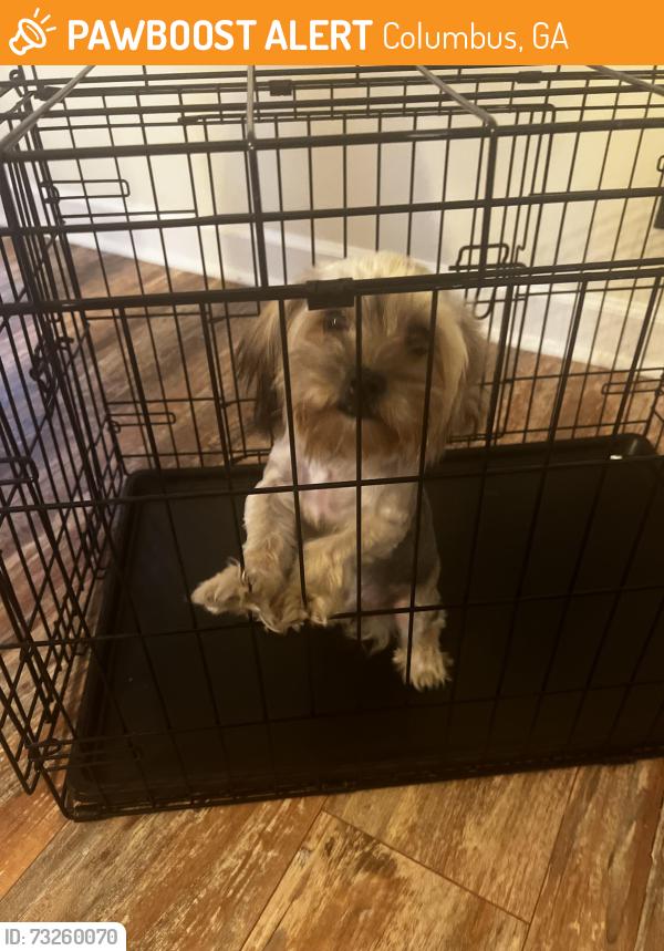 Found/Stray Male Dog last seen Macon Road, Columbus, GA 31820