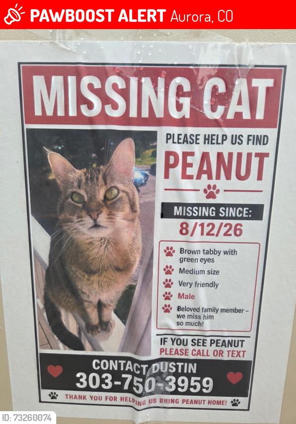 Lost Male Cat last seen Mansfield Ave and Richfield way, Aurora, CO 80011
