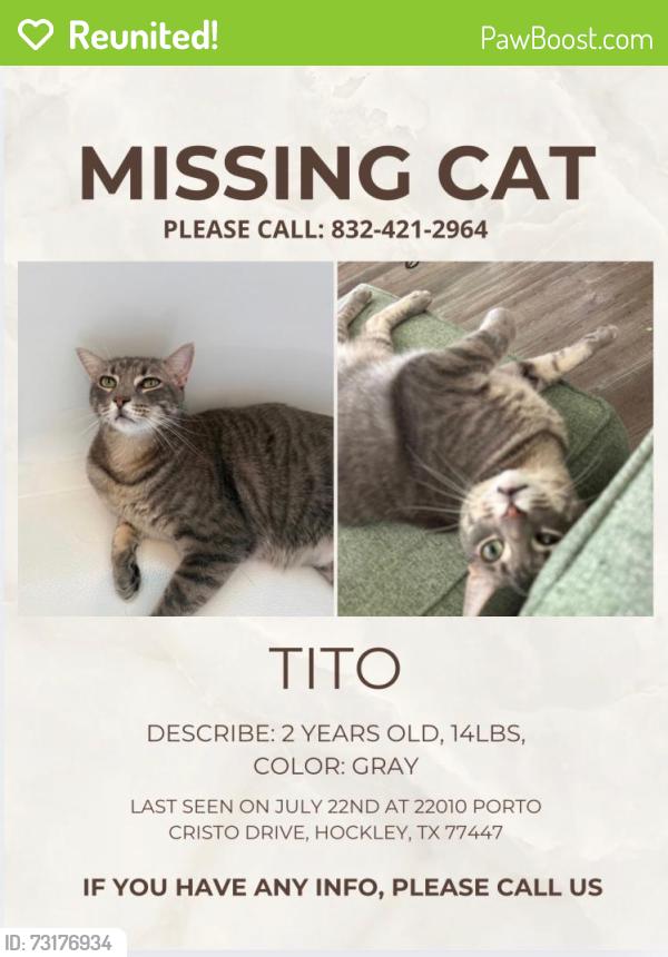 Reunited Male Cat last seen HWY 290, Harris County, TX 77377
