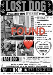 Reunited Male Dog last seen Cherokee Shores (Cedar Creek Cove), Mabank, TX 75156