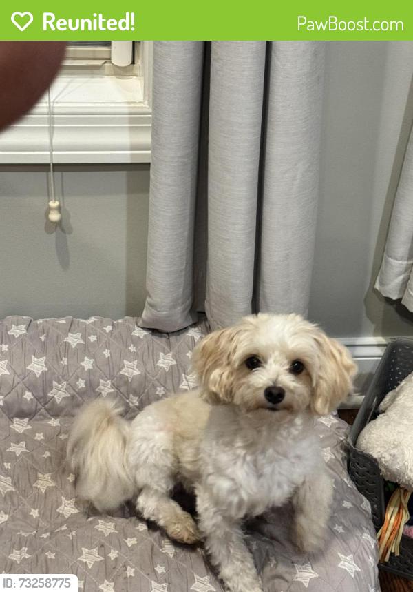 Reunited Male Dog last seen Near Craythorne Dr. my son left the gate open, Murfreesboro, TN 37129
