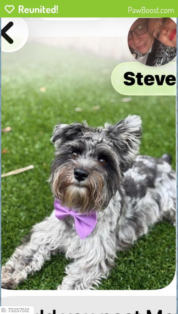 Reunited Male Dog last seen Randall lake apmt, Orlando, FL 32801