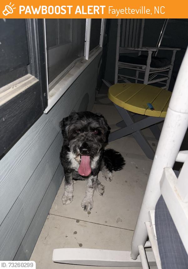 Found/Stray Male Dog last seen Kingstree drive, Fayetteville, NC 28304