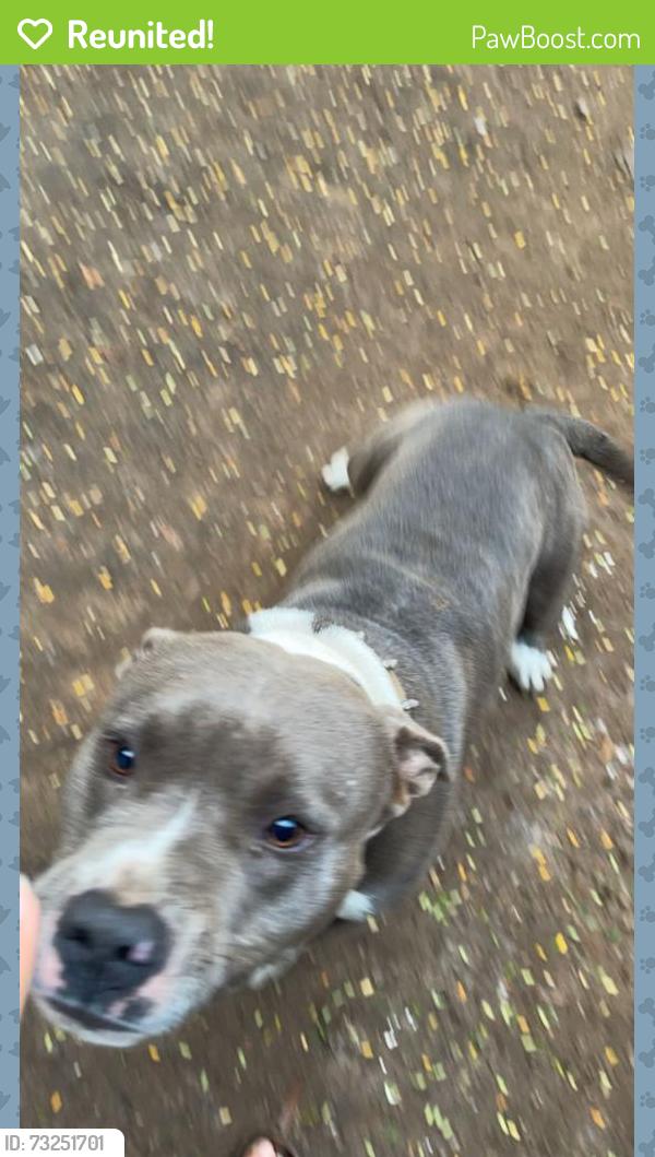 Reunited Male Dog last seen Oak st Dade city, Dade City, FL 33523
